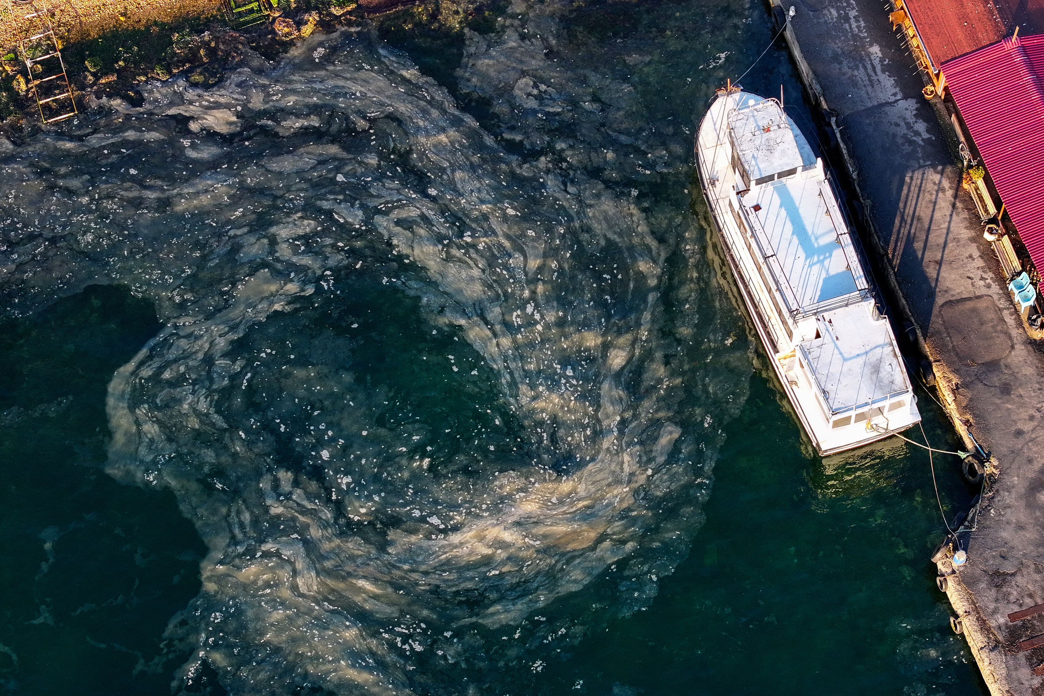 Müsilaj Marmara'daki balıkçıları vurdu! 2 milyar lira tehlikede