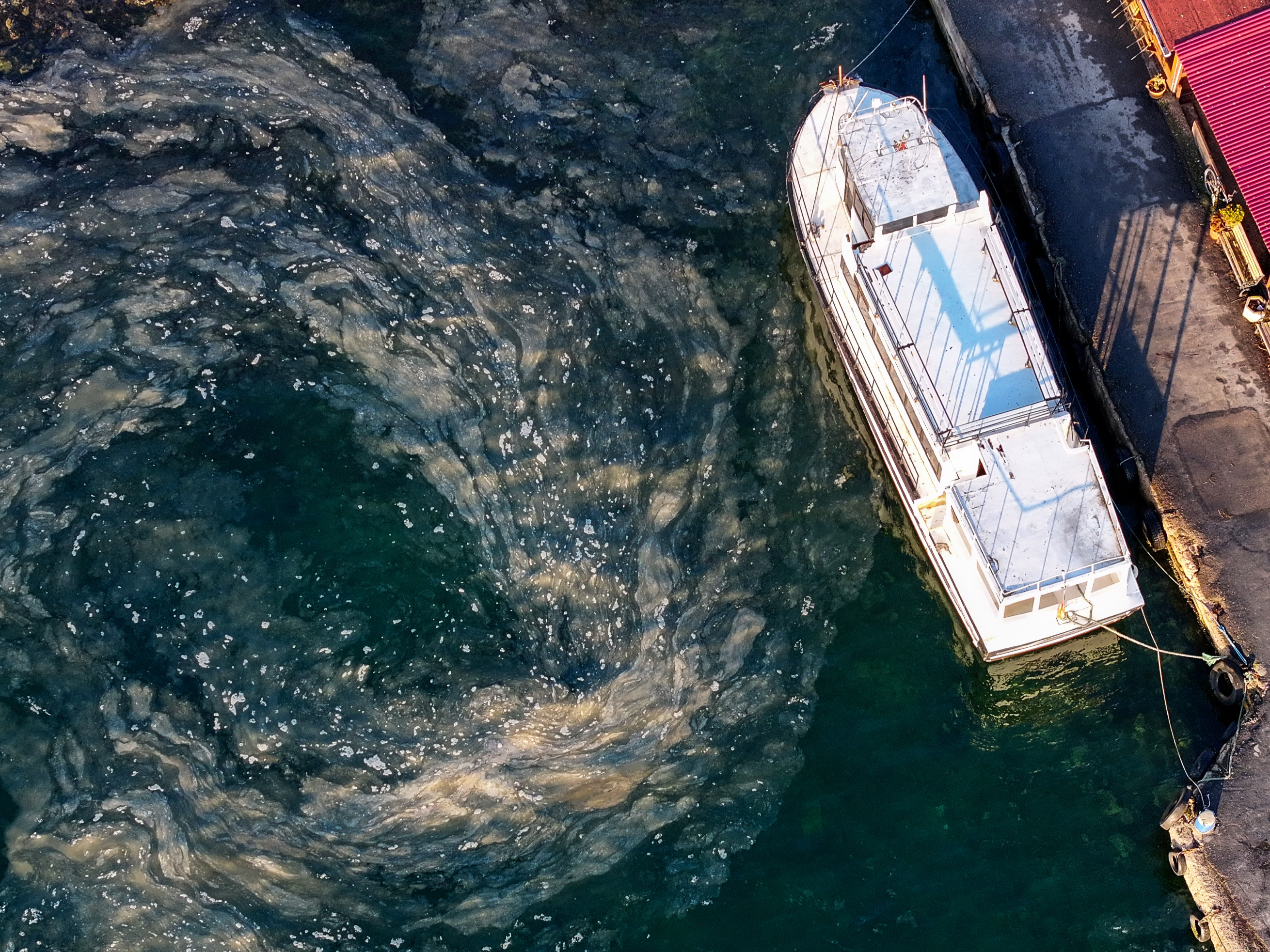 Müsilaj Marmara'daki balıkçıları vurdu! 2 milyar lira tehlikede