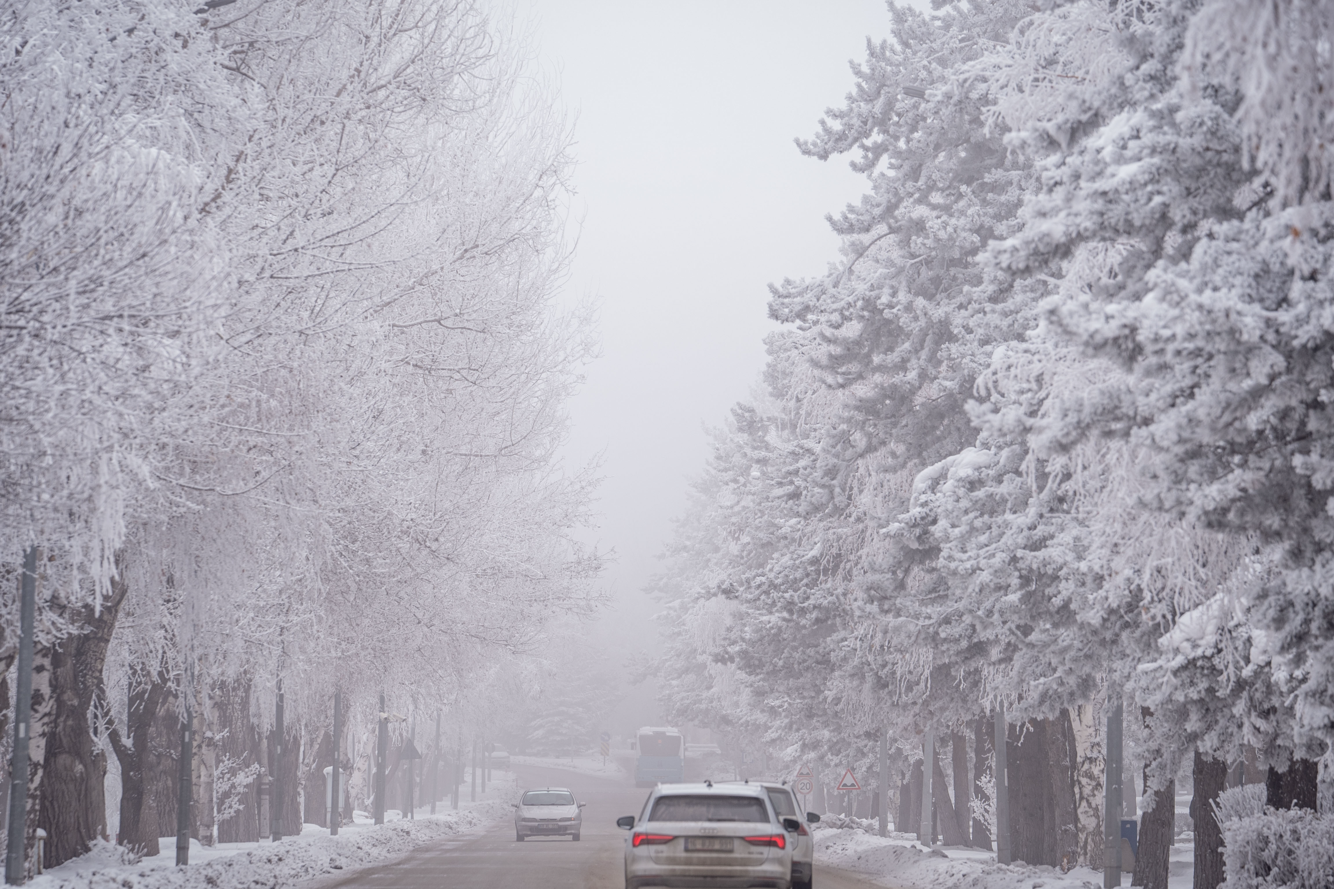 Türkiye'de gece en düşük sıcaklık Tekman'da kaydedildi: Eksi 34
