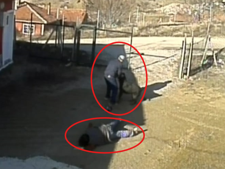 Çorum'da sahibinden kaçan köpek 3 kişiyi yaraladı