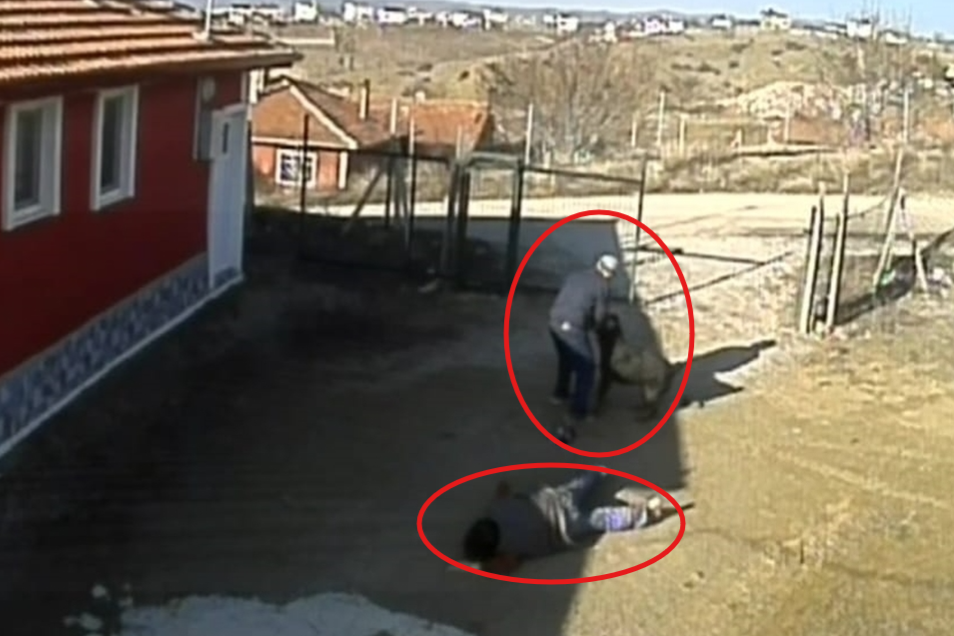 Çorum'da sahibinden kaçan köpek 3 kişiyi yaraladı